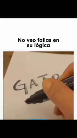 #miau #gato