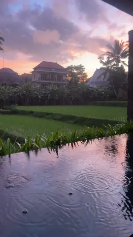 Every chance I get I am getting the swim out just to walk out! 