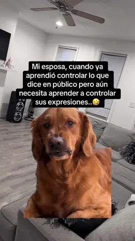 #lol #viralvideo #humortiktok #MemeCut 