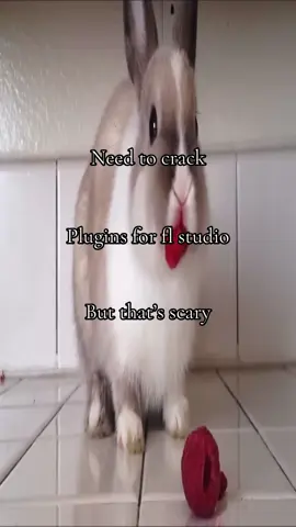 #fyp #flstudio #prod #plugins #producertok 