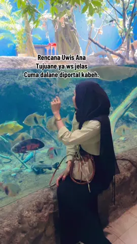 Tabrak bae tah ya,tpi pelanggaran mnjing konjara blih?😁