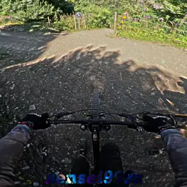 Casi MORIMOS en CHATEL BIKE PARK - Dia de puro riding 🔥                                      #downhill #mtb #fly #phonk #santacruz 