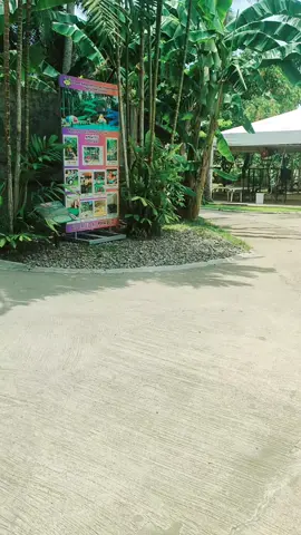 Hahaha🤣😍 #viralvideos #fyppppppppppppppppppppppp #fypage #goodvibes #funnyvideo 