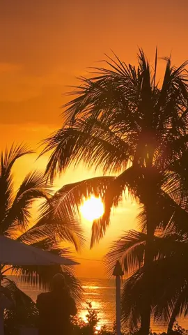 #creatorsearchinsights #SunsetLovers #GoldenHour #ChasingSunsets #SkyOnFire Beautiful sunset 🌞