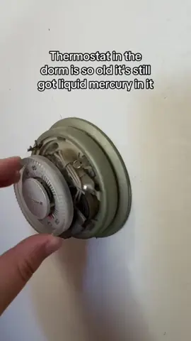 #stitch with @Lizzy :D 