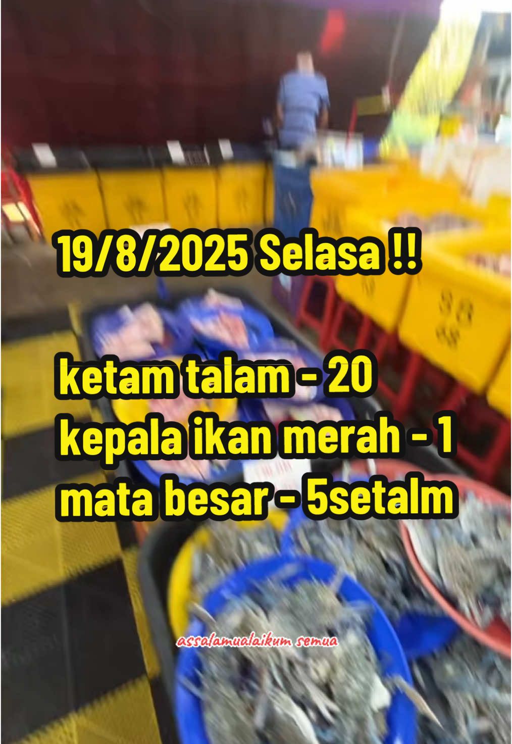 #ikansegarpayakeadi #ikanmurahkepalabataspayakeladihujung #livehighlights #liveforthechallenge #abgshahikansegar #ikantalamviral #jualanrahmah #fyppppppppppppppppppppppp 