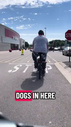 Dogs. #dog #dogsoftiktok #bike #bassethound #funny #fyp 