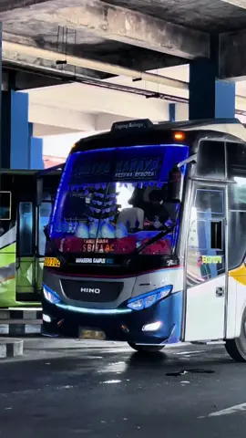 pokok e manut kapten derryl 🥵 @𝘿𝙀𝙍𝙍𝙔𝙇 𝘼𝙇𝘿𝙊𝙁𝘼  #sugengrahayu #sugengrahayugroup #sumberselamat  #sumbergroup #sumbergrouplovers🤗🐬 #sglovers #busjawatimuran #busindonesia #w7003uz #derrylmentality #bahanswmu #bahanstorymu #foryoupage #fyp #xybca #masukberanda 