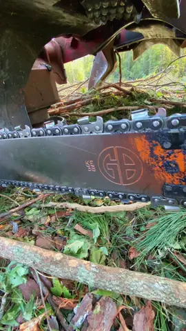 If ya ever want a good saw bar #saw#chainsaw #timber #fyp #tough 