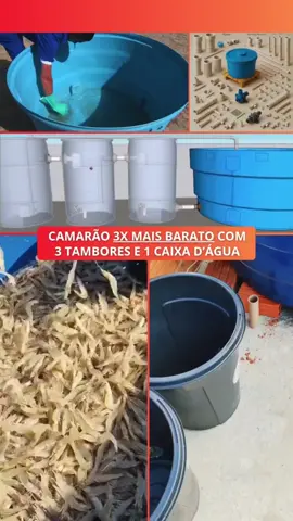 🔥 Quer transformar uma simples caixa d’água em uma fonte de renda extra? 🔥 No Projeto Camarão Lucrativo, você aprende, passo a passo, como criar camarões em casa, com baixo investimento e retorno rápido! ✅ Guia completo de montagem e manejo ✅ Técnicas testadas para maximizar a produção ✅ Suporte direto para tirar todas as suas dúvidas ✅ Lucro médio de R$2.000 a R$5.000 no primeiro mês