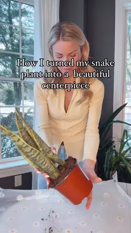 TAP BUTTON ABOVE TO PLAY! 