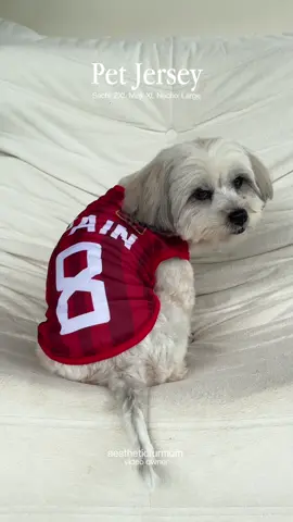 Pet Jersey ng mga gwapoo🫶 #petjersey #dogclothes #petclothes #dogcostume #dogoutfit 