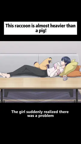 This raccoon is almost heavier than a pig! #anime #foryoupage #animegirl #animetiktok #animeedit 