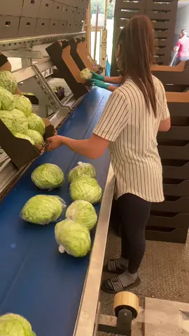 #romaninstrainatate💔🥲 #munca #dor #decasa 