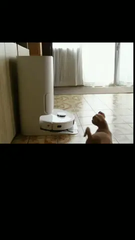 Robot hút bụi lau nhà thông minh – Hút sạch bụi lông thú, chạy êm ái ✨ #robothutbuilaunha  #dodungthongminh #dodunggiadinh  #tienichcuocsong 