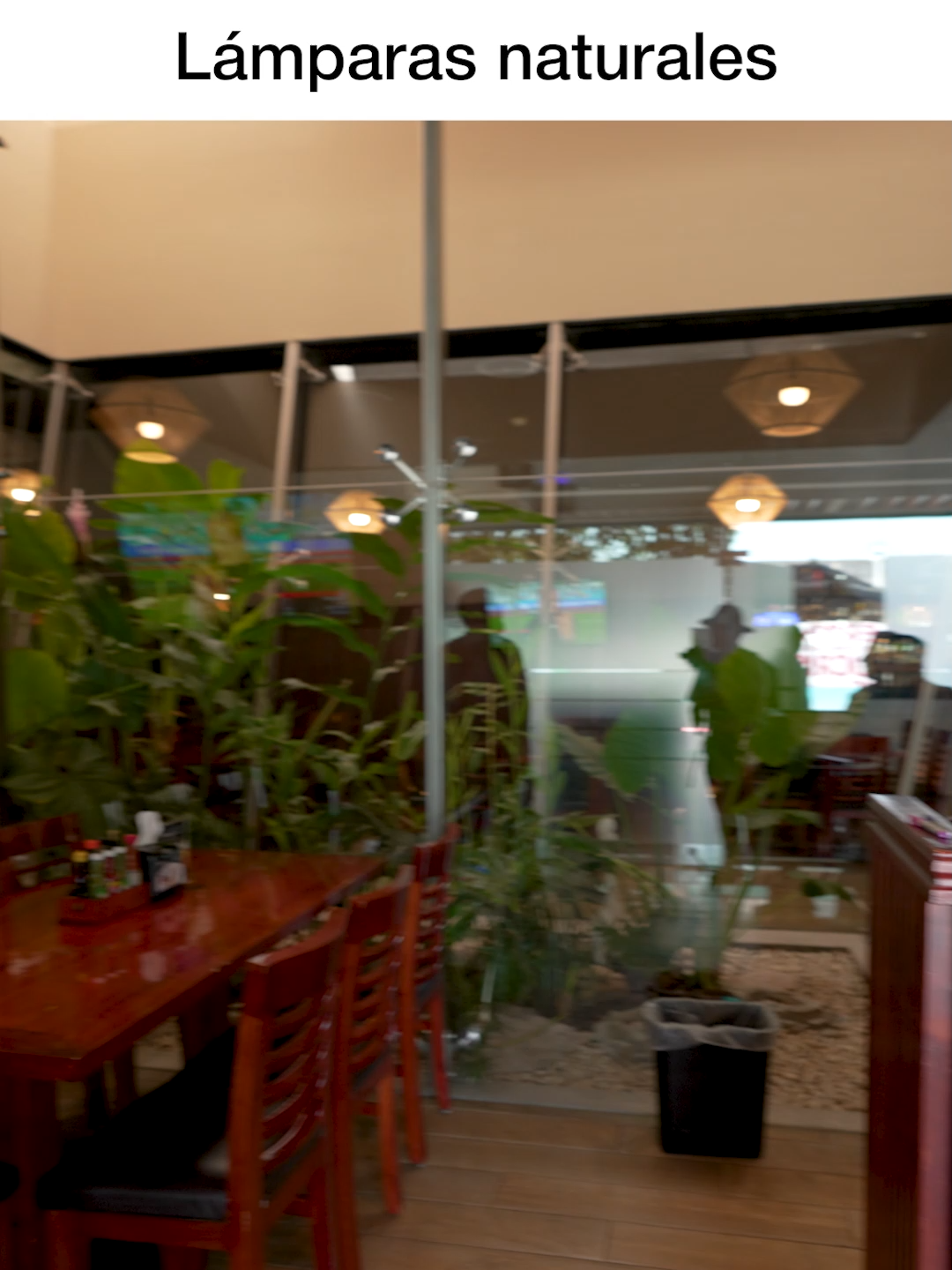 Lámparas naturales #RestauranteDeMariscos @luisarq0 #ArquitecturaMexicana #ApaloosaArquitectos