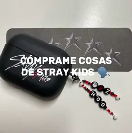 cómprame cosas de stray kids 🗣️🗣️🔥🔥 @🦔 @𝐀𝐬𝐡𝐥𝐲𝐧 @fede  #straykids #viral #fyp #paratiiiiiiiiiiiiiiiiiiiiiiiiiiiiiii #tiktok 