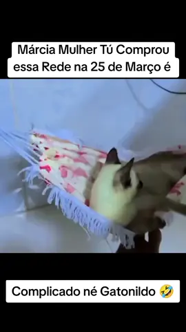 Rede pode é essa Márcia  #meme #engracado #animais #gato 
