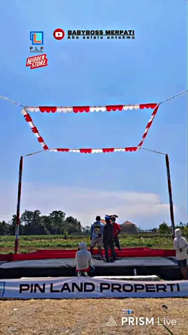 Tampil messi sudah maksimal tinggal cari hoki @Amphal Balap #merpatikolongjogja #ppmky #fyp 