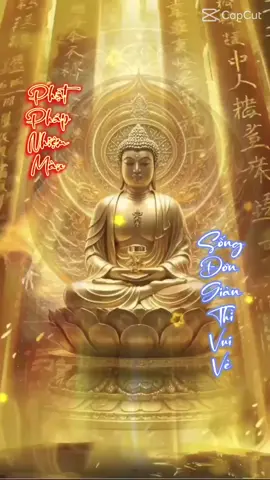 Nam mô a di đà Phật 🙏🙏🙏❄️🙏🙏🙏