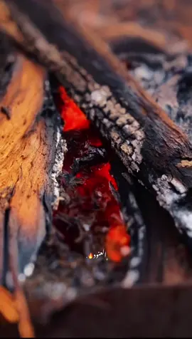 🔥🔥🔥💔#طبرق_ليبيا🇱🇾✈️ #اكسبلور #جبراتت📮 #ترند #ع_الفاهق 