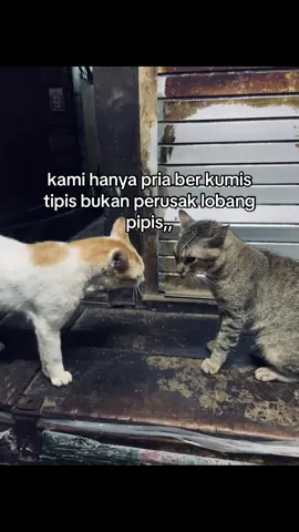 yang kumis besar per rusak  lobang janda 😂😂