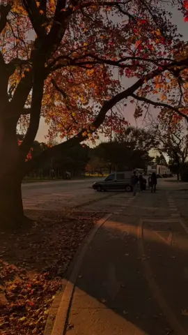Carry you home - Alex Warren🍁🍂#Otoño #AlexWarren 