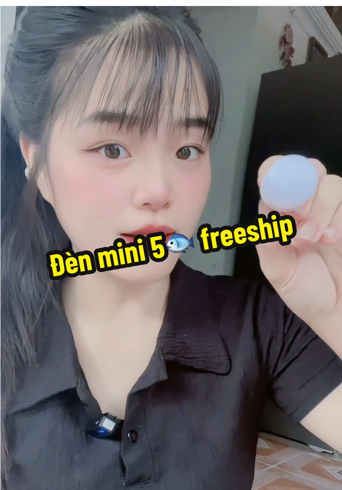 Săn lẹ các bác oi#viral #xuhuong #denmini #denngu #denngu 