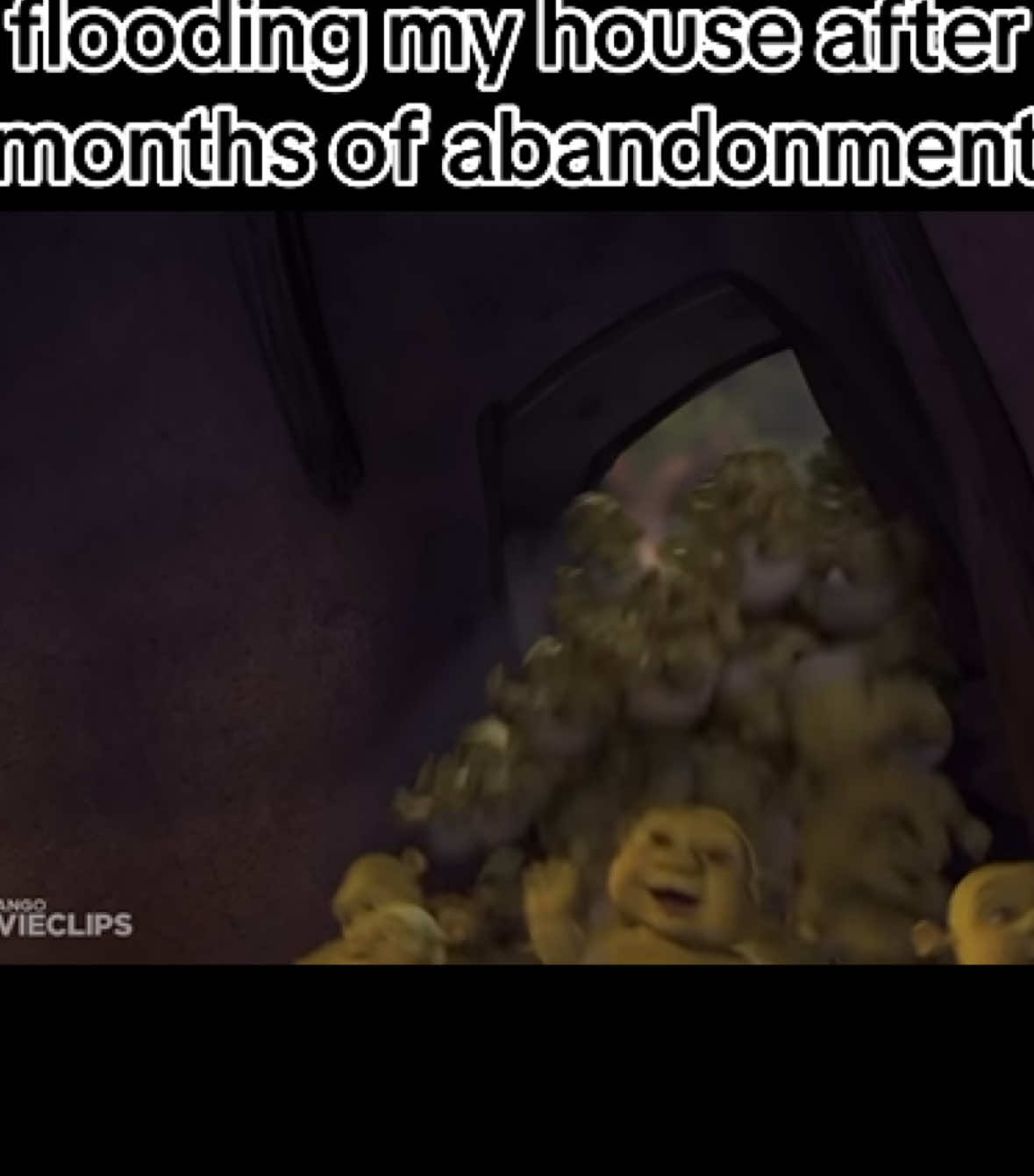 Totally original idea that I didn’t see 2 seconds ago #fyp #fypシ #lowquality #memes #funny #meme #idk #shrek #babies