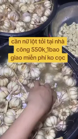 Cần nữ bóc tỏi tại nhà Giao nhận hàng tận nơi miễn phí.   không Lương 550k/1bao #lộttỏi #hottrend #kiemtienonline #vieclamtot #xuhuong @Công Việc Bóc Tỏi Tại Nhà @Công Việc Bóc Tỏi Tại Nhà @Công Việc Bóc Tỏi Tại Nhà 