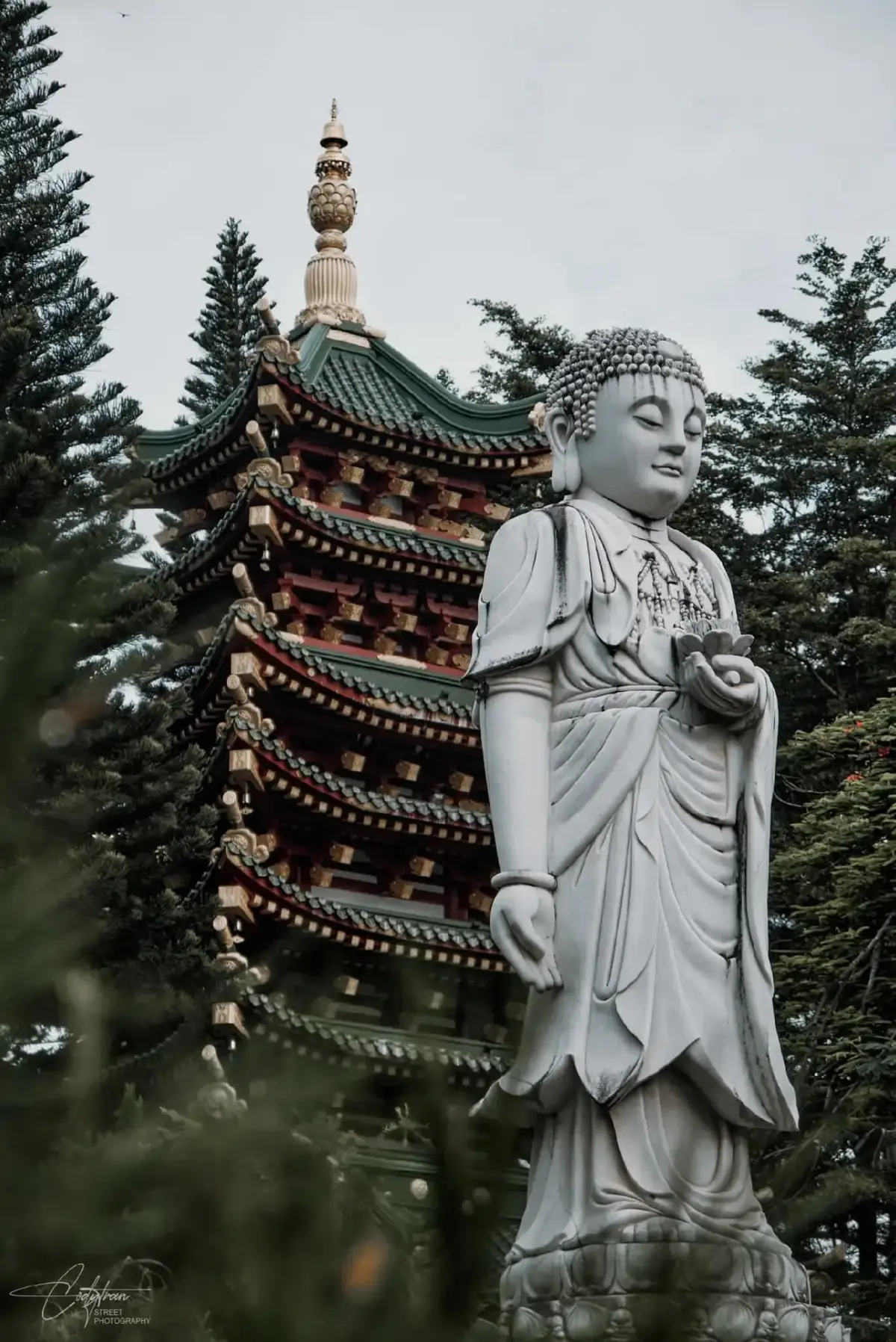 🌿✨ Giữa phố núi Pleiku, có một Minh Thành Tự uy nghi như lạc vào xứ Phù Tang. 🛕 Ngôi chùa với kiến trúc Á Đông độc đáo, mái cong rực rỡ, không gian tĩnh lặng đưa lòng người về chốn an yên. 👉 Nếu ghé Gia Lai, đừng quên check-in nơi này nhé! ---------------------------------- 🌿✨ In the heart of Pleiku, stands Minh Thanh Pagoda, majestic as if transported from Japan. 🛕 With its stunning Eastern architecture, vibrant curved roofs, and tranquil atmosphere, it brings peace to every soul. 👉 A must-visit spot when you come to Gia Lai! 📸 Credit: Vĩnh Cơ ____________________________________ 💥 HELLO GIA LAI 💥 