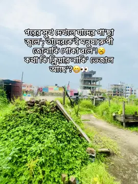 বুঝলে বুঝ পাতা' না বুঝলে তেজপাতা😆😆