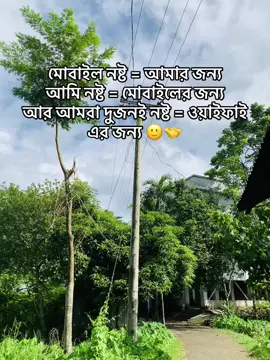 মোবাইল নষ্ট = আমার জন্য আমি নষ্ট = মোবাইলের জন্য আর আমরা দুজনই নষ্ট = ওয়াইফাই এর জন্য🙂🤝#foryou #শরীয়তপুরের_ছেলে #শরীয়তপুরের_মেয়ে #ফুটবল_প্রেমী💚 #bangladesh🇧🇩 #500kview @O 🚩  