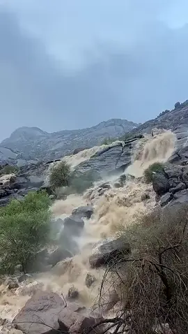 #المخواه 