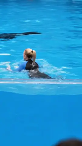 Jessica Radcliffe Orca Attack