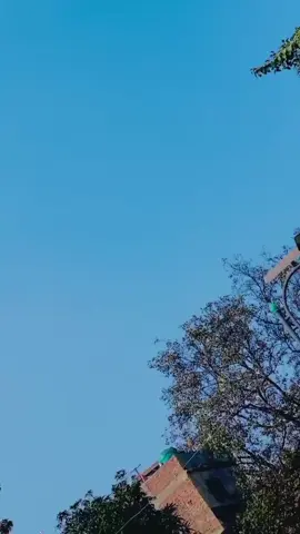 # jhamkabe lu sona ho 🤣🤣🤣🤣#newtrendingsound🔥 # congratulations di 🎉🎉🎉#viral?tiktok🥰 #foryoupage❤️❤️ #radheyradhey🦚🙏 @Niva yadav #janakpur_dham🙏 