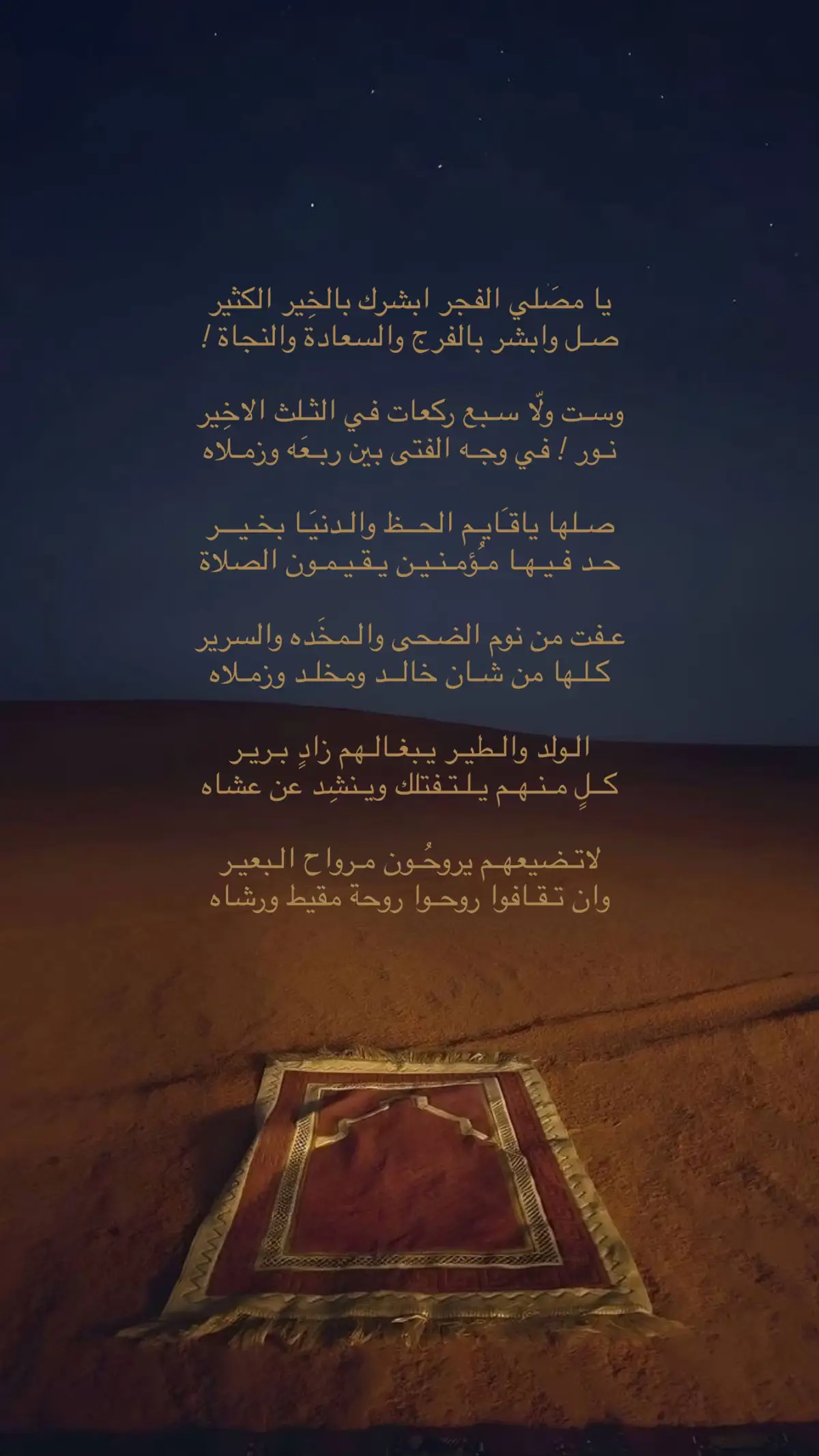 #fyp #explore #مصلح_عياد 