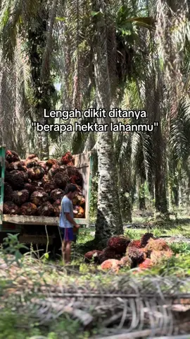 alhamdulillah cukup #petanisawit 