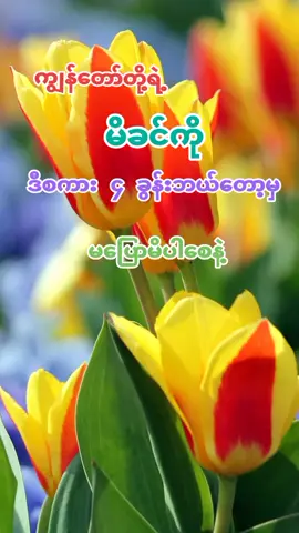 #rainko077 #tiktok #foryou  #fypシ゚ #မူရင်းအားလုံးcredit❤🙏 