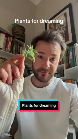 Some plants are good for dreaming. These plants open the gateway for lucid dreaming and visions. While they are to be used cautiously as they are profoundly powerful 