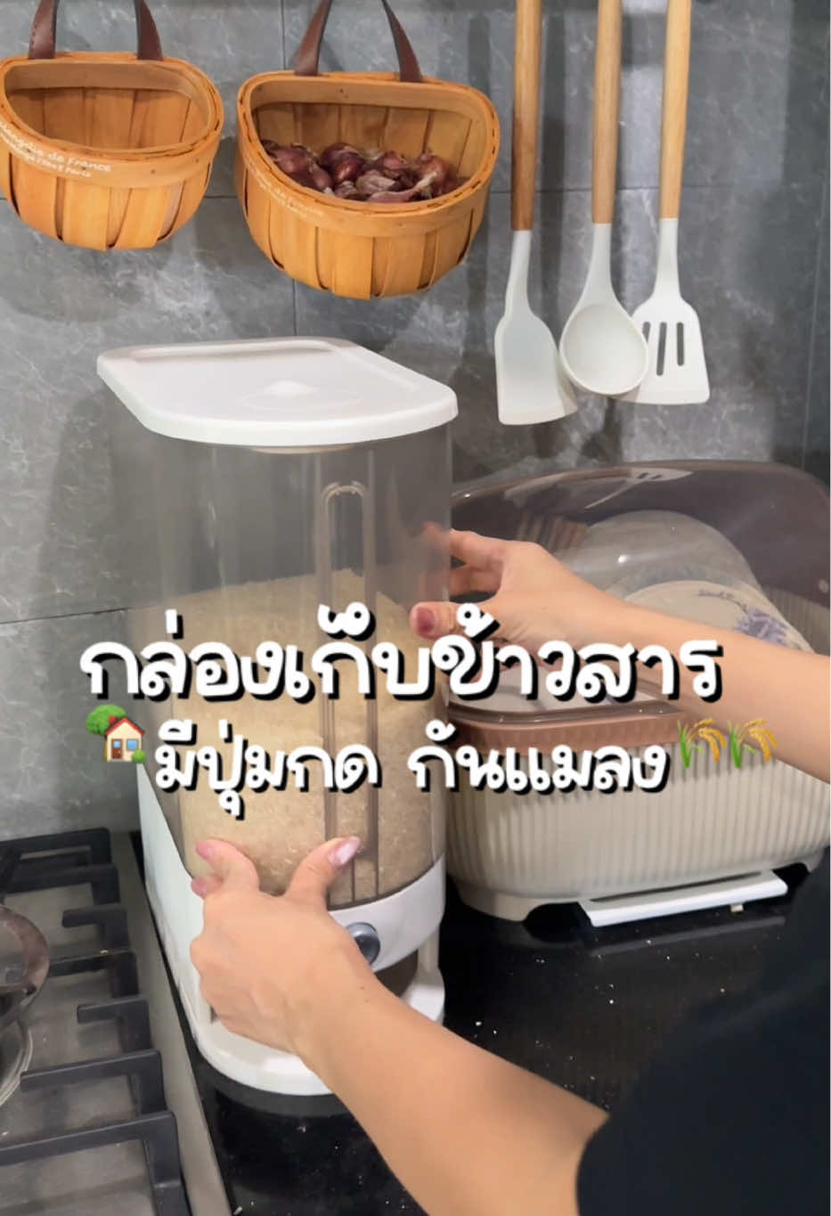 ถังเก็บข้าวสารมีปุ่มกด กันชื้นกันแมลง #ถังข้าวสาร #กล่องเก็บข้างสาร #ถังข้าวสารกดได้ #ถังข้าวสารกันความชื้นกันแมลง #ถังข้าวสารมินิมอล 