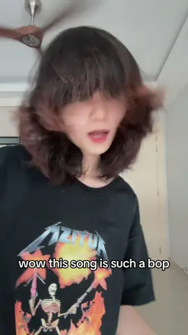 i found out what the lyrics mean