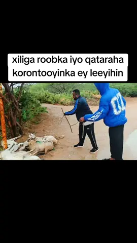 #fouryoupage #somalitiktok #fouryoupage #somalitiktok 