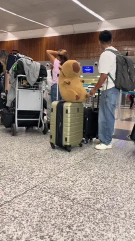 Guayaquil😂 #capibara #fyp #paratiiiiiiiiiiiiiiiiiiiiiiiiiiiiiii 