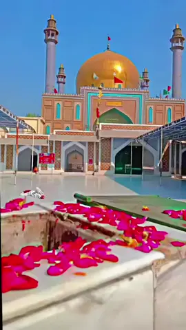 #duet with @🚩جولےلعل شہباز قلندر 786 🚩