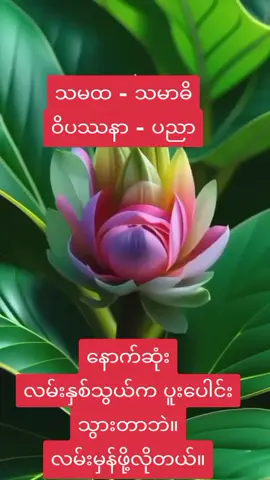 သမထ နဲ့ ဝိပဿနာ #ကုသိုလ်ယူမျှဝေပါ၏ဘုရား🙏🙏🙏  #သတ္တဝါခပ်သိမ်းတရားကိန်းအေးငြိမ်းကြပါစေ  #တရားထူးတရားမြတ်ရရှိပါစေ🙏 🙏🙏 #မြန်မာပြည်ကြီးအမြန်အေးချမ်းပါစေ🙏🙏🙏  #မြန်မာနိုင်ငံသူနိုင်ငံသားများရန်သူမျိုးငါးပါးရန်မှလွတ်ကင်းပါစေ🙏🙏🙏 