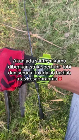 #mancing #castingfishing🎣 #mancingmaniamantap🐟🎣 