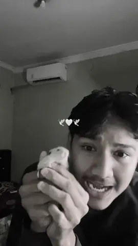 Fly high abang 🕊️