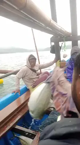 alhamdullilah perahu payang pak agus jamha dapat tongkol kue🥶🥶#nelayanrancabuaya ##nelayanlautdalam #nelayanindonesia #nelayan #ikanlaut 