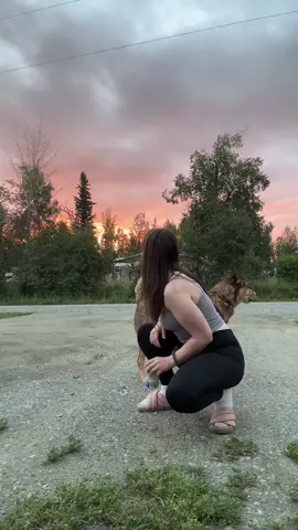 Unexpected sunset with Mr Baeyou. He’s a little protective. #sunset #alaska #dog #souldog #fyp 